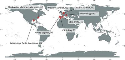 Satellite-Derived Trends in Inundation Frequency Reveal the Fate of Saltmarshes